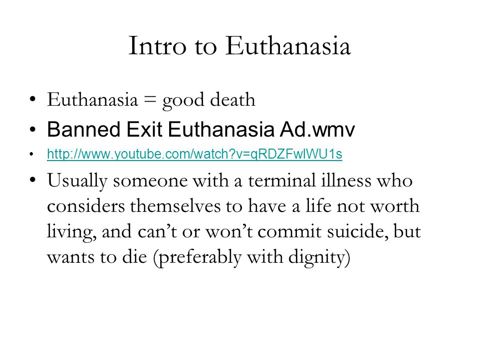 Animal euthanasia